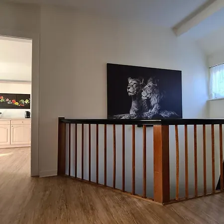 Apartment Carpe Diem - Gorlitz