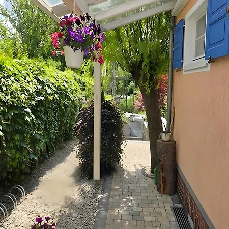 Apartman Carpe Diem - *